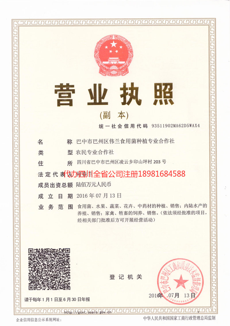 达州达州伟兰食用菌种植专业合作社